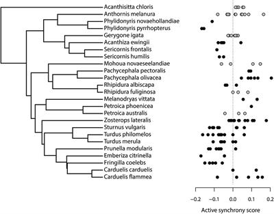 Do Parents Synchronise Nest Visits as an Antipredator Adaptation in Birds of New Zealand and Tasmania?